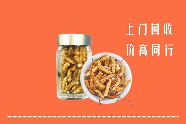 乡宁县回收冬虫夏草